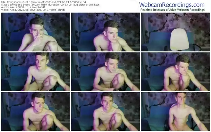 2024/03/24/bongacams-mr-stiffler-00-37-52