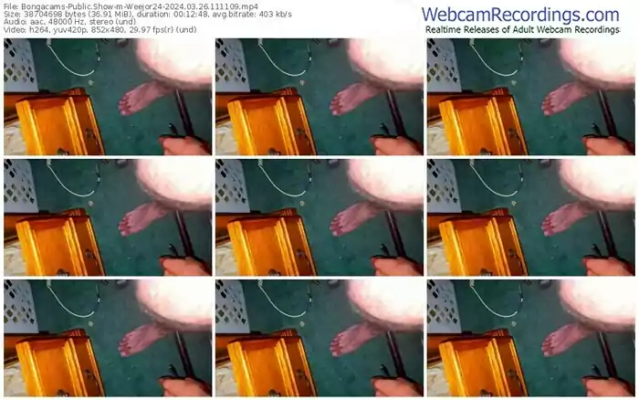 2024/03/26/bongacams-weejor24-11-11-09