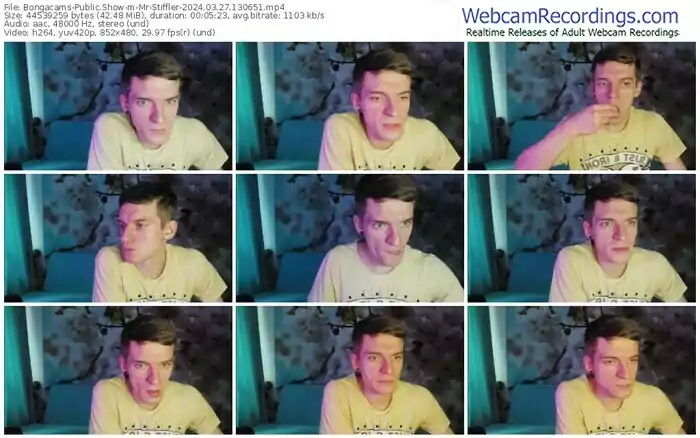 2024/03/27/bongacams-mr-stiffler-13-06-51