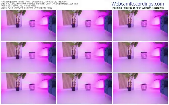 2024/03/28/bongacams-evazane-11-34-45