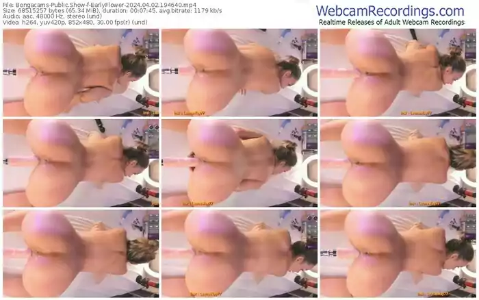 2024/04/02/bongacams-earlyflower-19-46-40