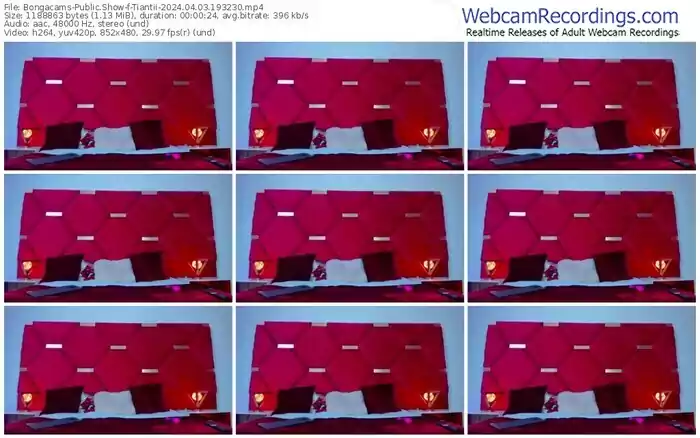 2024/04/03/bongacams-tiantii-19-32-30