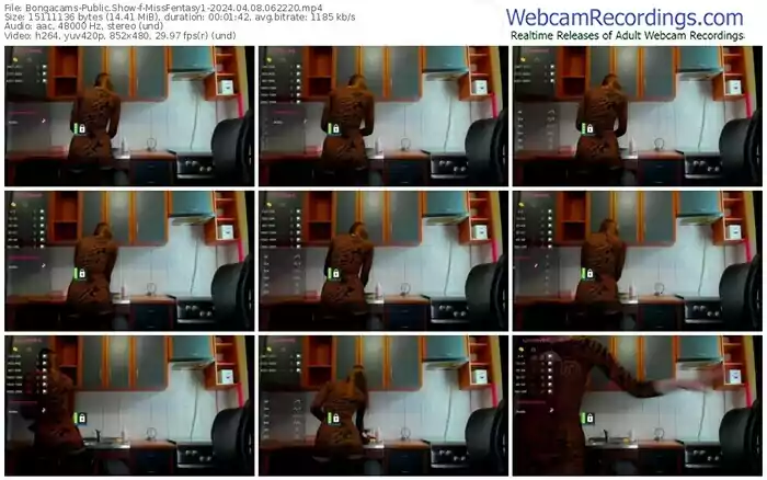2024/04/08/bongacams-missfentasy1-06-22-20