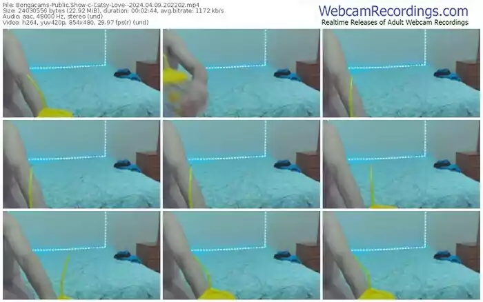 2024/04/09/bongacams-catsy-love--20-22-02