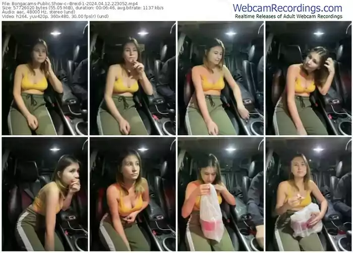 2024/04/12/bongacams--breid-1-22-30-52