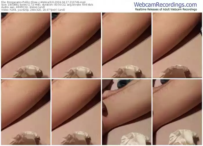 2024/04/17/bongacams-webca316-21-07-49
