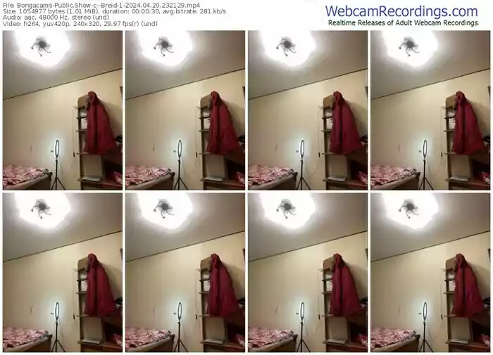 2024/04/20/bongacams--breid-1-23-21-29