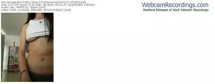 2024/04/20/bongacams-tinyrouse-16-22-33