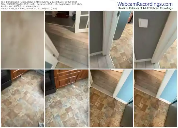 2024/04/23/bongacams-alekseygrey-10-50-29