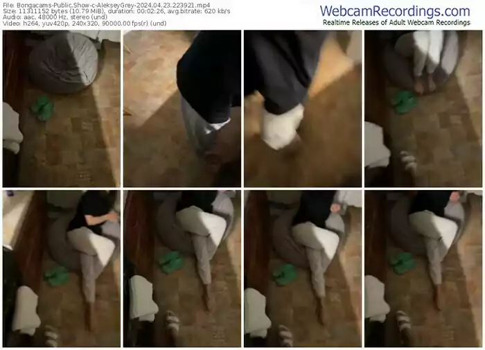 2024/04/23/bongacams-alekseygrey-22-39-21