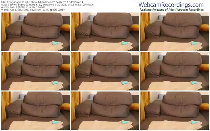 2024/04/23/bongacams-adallinee-10-46-59