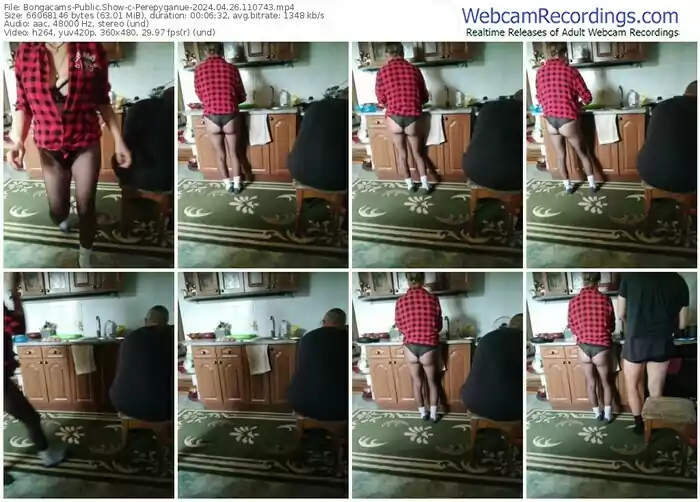 2024/04/26/bongacams-perepyganue-11-07-43