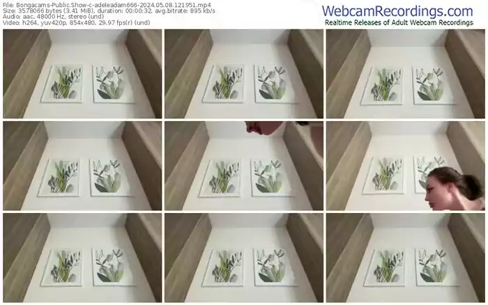 2024/05/08/bongacams-adeleadam666-12-19-51