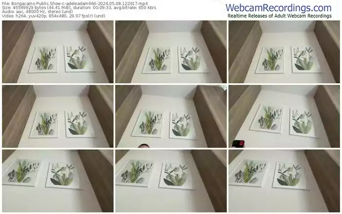 2024/05/08/bongacams-adeleadam666-12-26-17