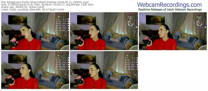 2024/05/11/bongacams-black-mamba--18-04-41