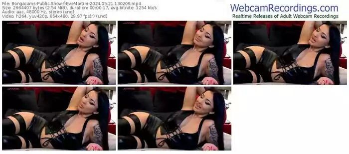 2024/05/21/bongacams-evemartini-13-02-09