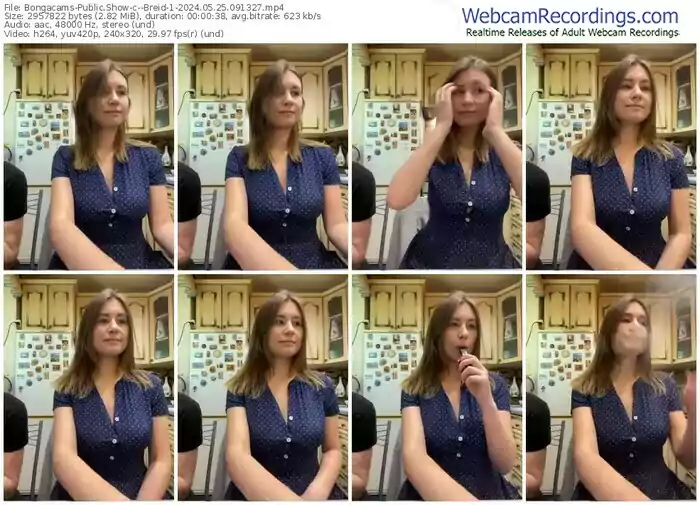 2024/05/25/bongacams--breid-1-09-13-27