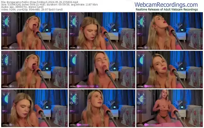 2024/05/29/bongacams-hiboys-21-58-18