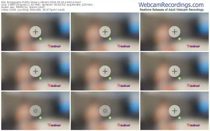 2024/05/30/bongacams-idiners-19-42-10