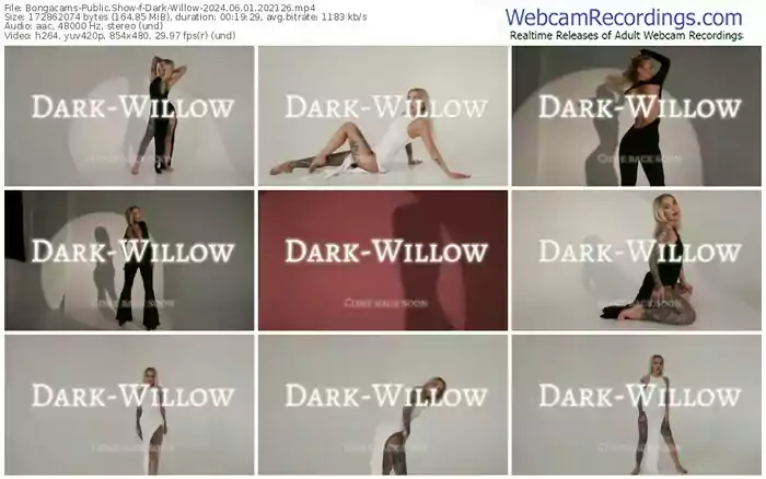 2024/06/01/bongacams-dark-willow-20-21-26