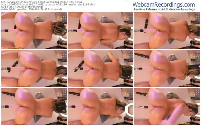 2024/06/04/bongacams-earlyflower-18-32-16