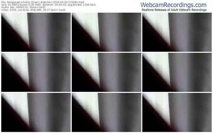 2024/06/09/bongacams-babymur-17-00-40