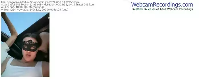 2024/06/10/bongacams-idiners-17-22-56