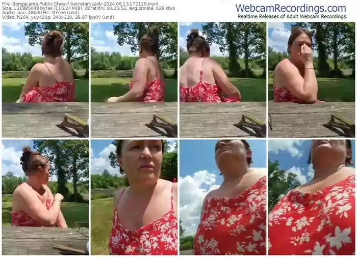 2024/06/13/bongacams-secretarylady-17-21-18
