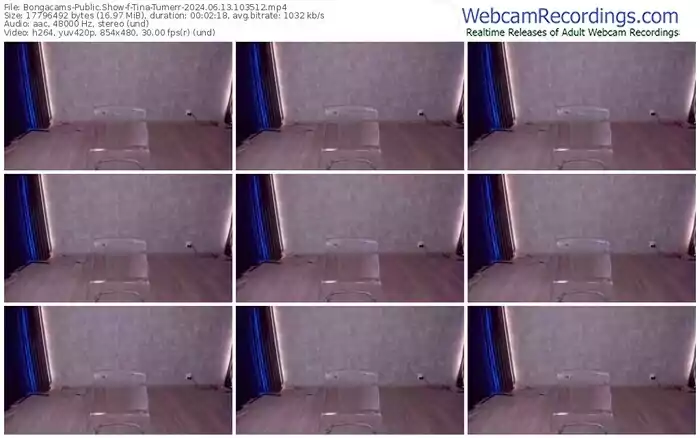 2024/06/13/bongacams-tina-turnerr-10-35-12