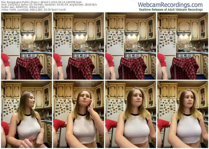2024/06/14/bongacams--breid-1-18-04-59