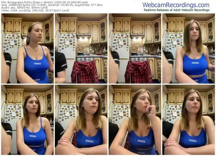 2024/06/16/bongacams--breid-1-04-53-40