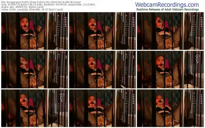 2024/06/16/bongacams-shiny-lily-08-13-10