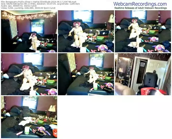 2024/06/17/bongacams-harley3deddude-20-47-48