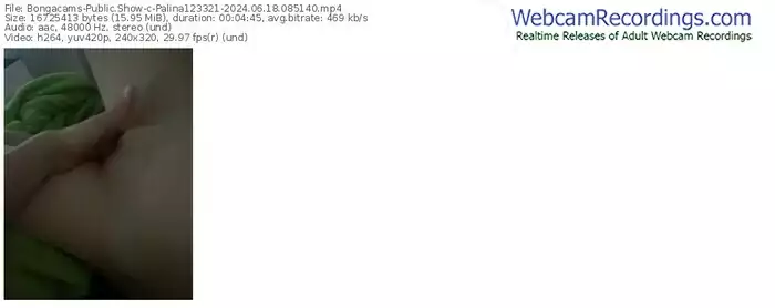 2024/06/18/bongacams-palina123321-08-51-40