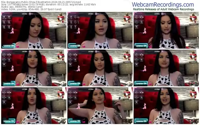 2024/06/21/bongacams-evemartini-08-57-16