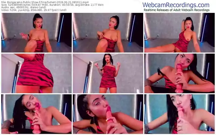2024/06/21/bongacams-tina-turnerr-08-16-11