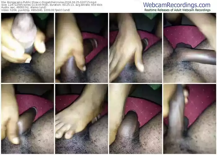 2024/06/25/bongacams-dispatchercruise-02-07-15