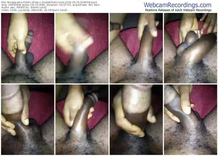 2024/06/25/bongacams-dispatchercruise-02-40-58