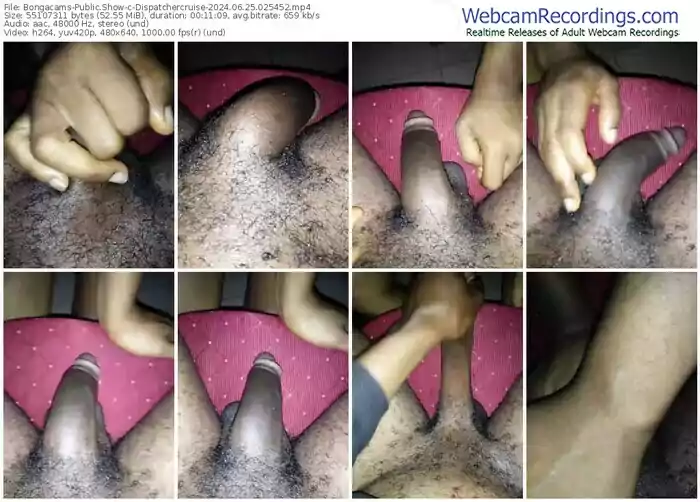 2024/06/25/bongacams-dispatchercruise-02-54-52