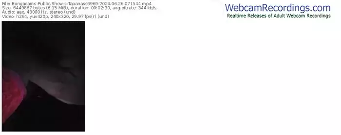 2024/06/26/bongacams-tapanass6969-07-15-44