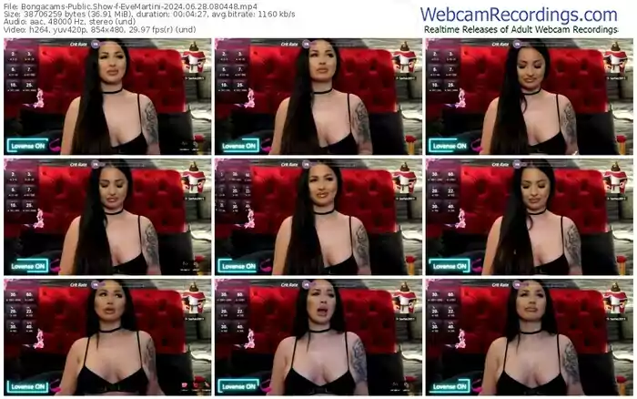 2024/06/28/bongacams-evemartini-08-04-48