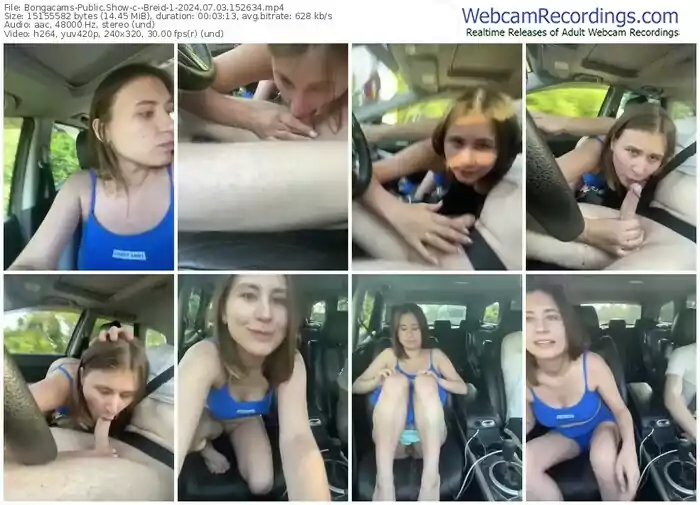 2024/07/03/bongacams--breid-1-15-26-34