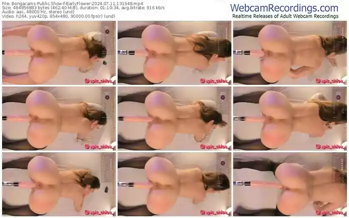2024/07/11/bongacams-earlyflower-13-19-48
