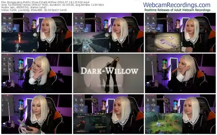 2024/07/18/bongacams-dark-willow-12-19-24