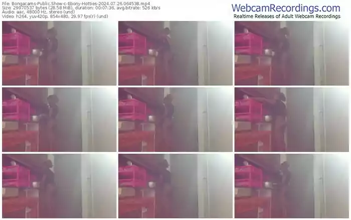 2024/07/26/bongacams-ebony-hotties-06-45-38