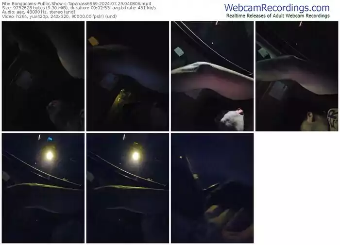 2024/07/29/bongacams-tapanass6969-04-08-06