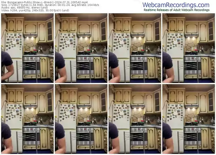 2024/07/31/bongacams--breid-1-20-05-42