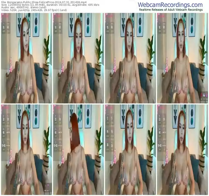 2024/07/31/bongacams-aliceprice-20-14-38