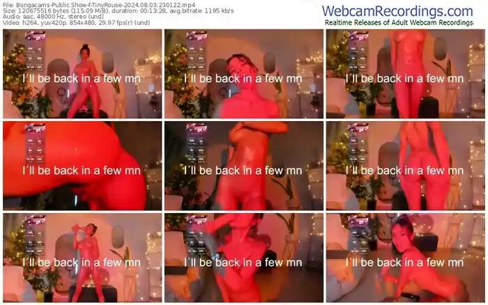2024/08/03/bongacams-tinyrouse-23-01-22