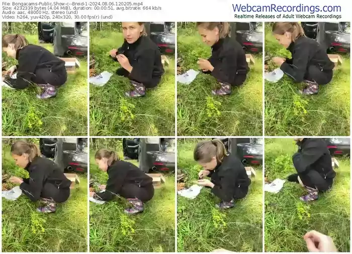 2024/08/06/bongacams--breid-1-12-02-05